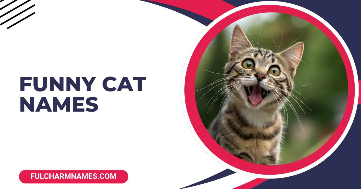 Funny Cat Names