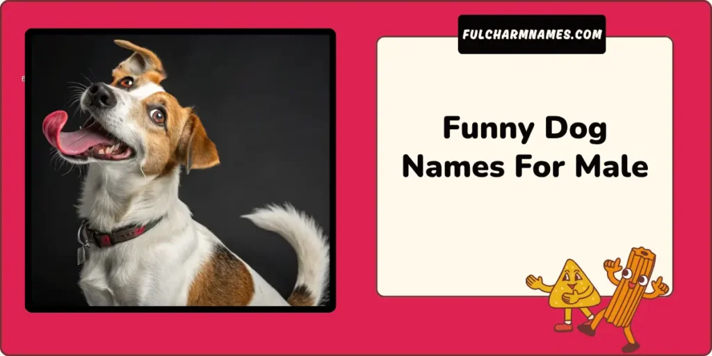 Funny Dog Names For Male